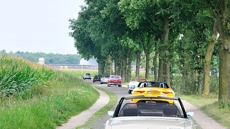 Galerij Augustus 2017
