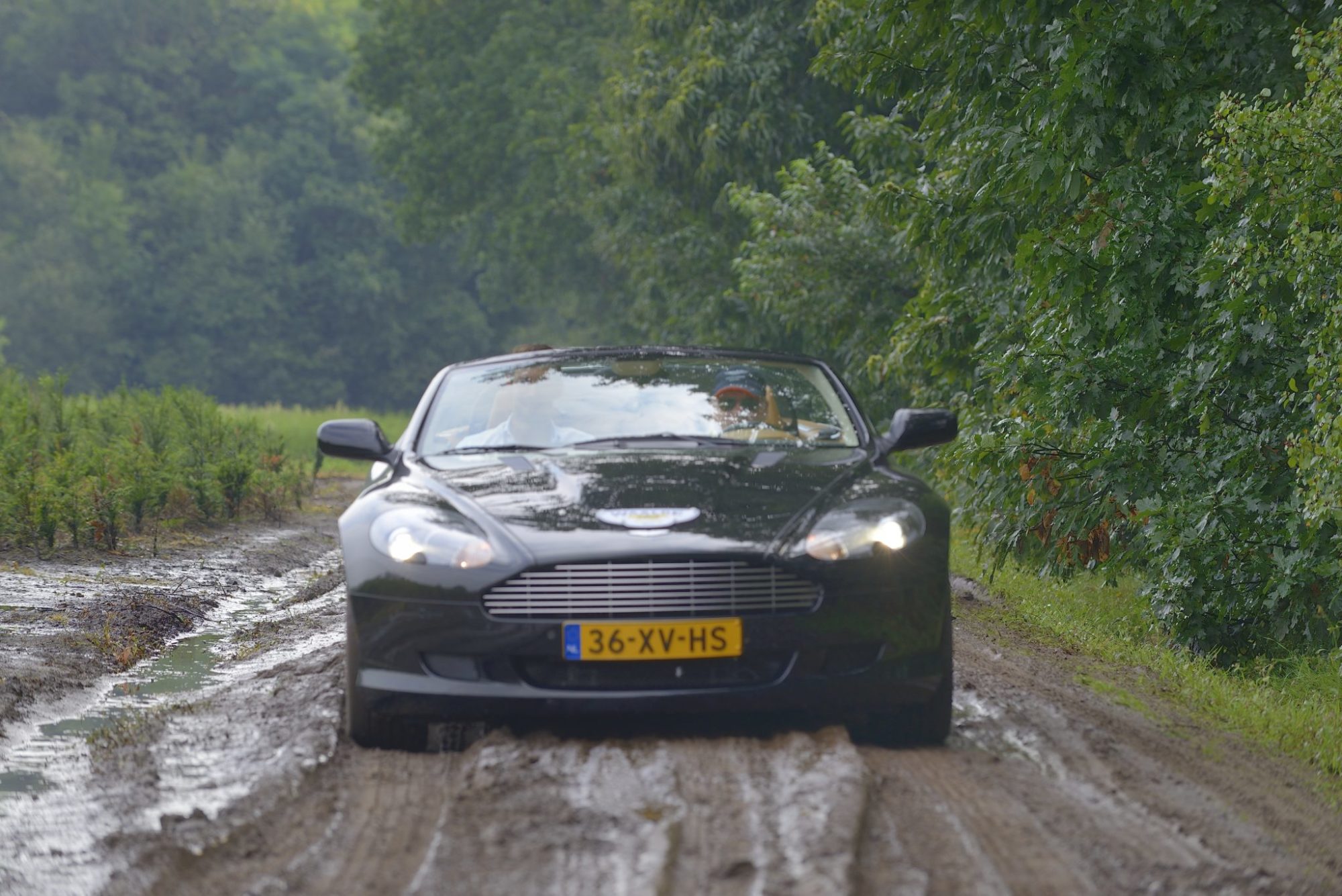 Galerij Augustus 2017