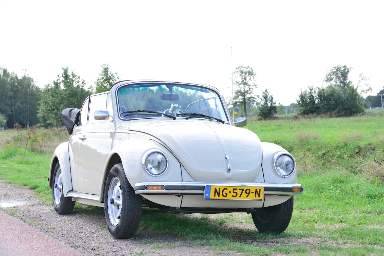 Galerij Augustus 2018