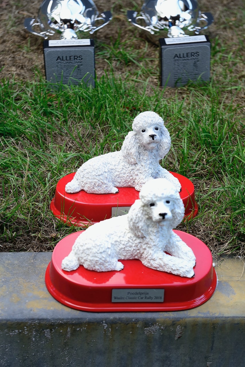 Galerij Augustus 2018