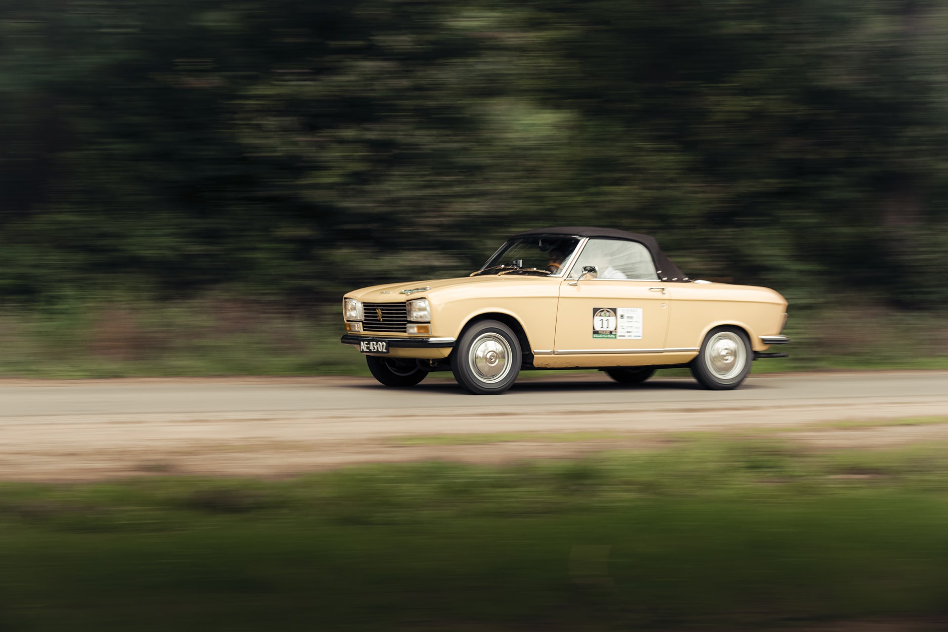 Galerij Augustus 2021