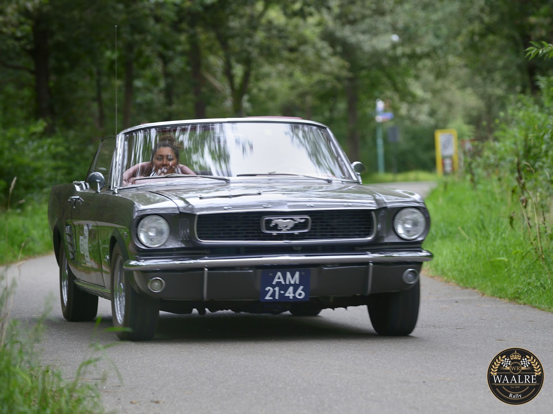 Galerij Augustus 2021