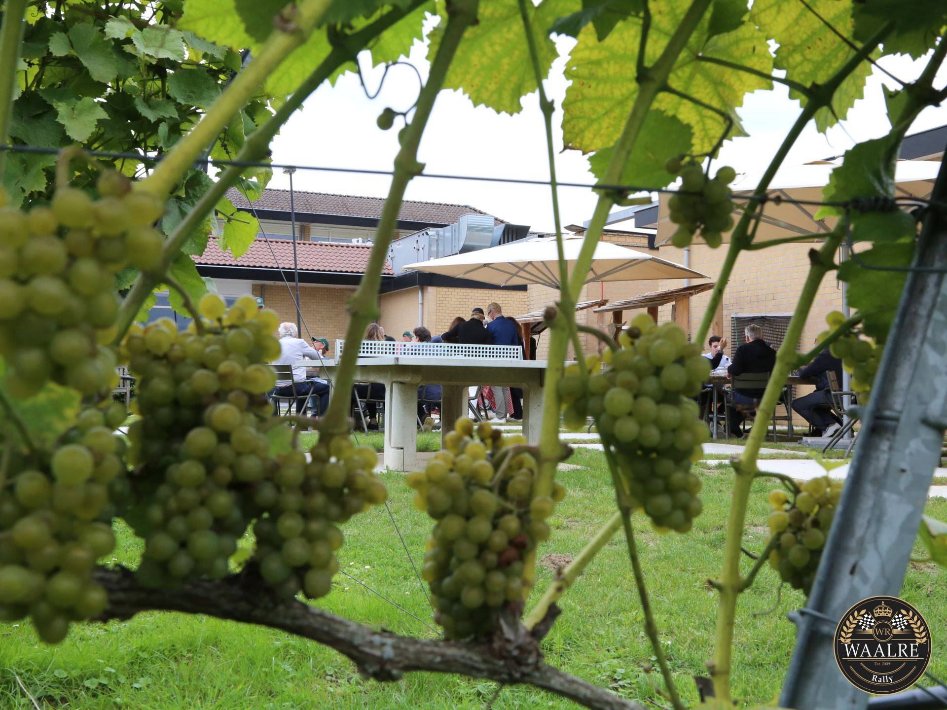 Galerij Augustus 2021