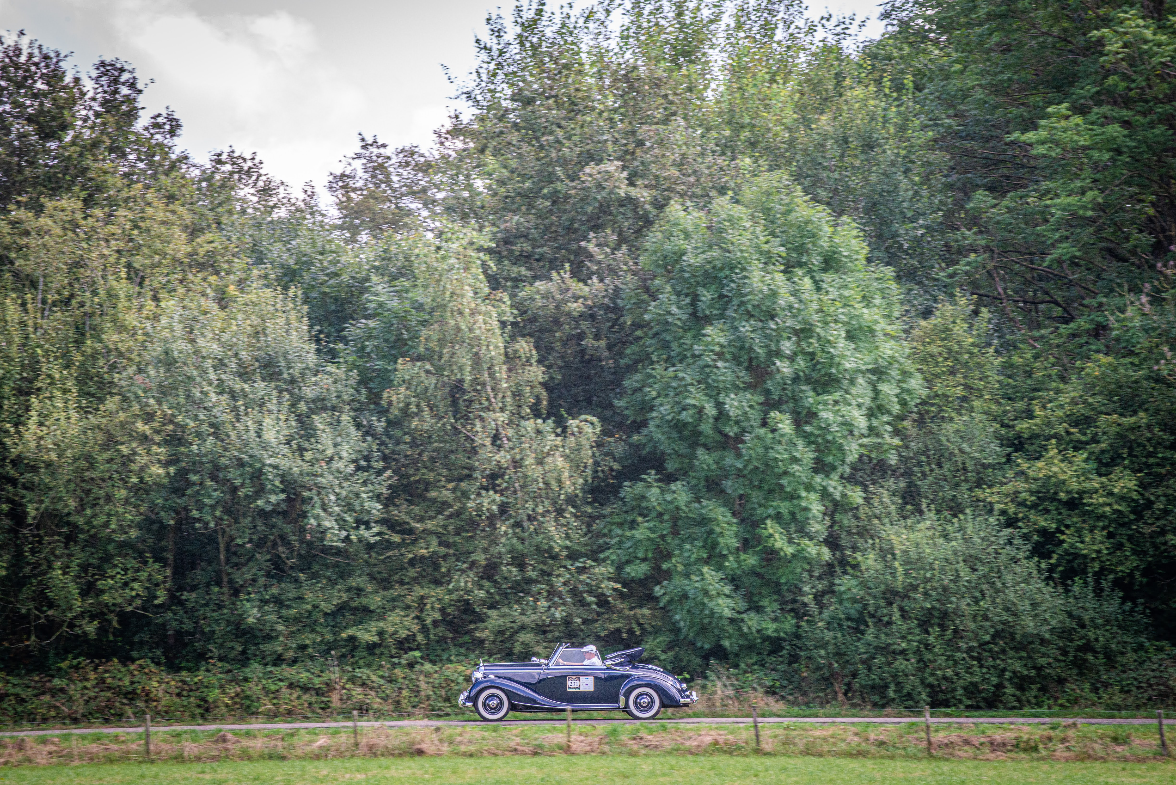 Galerij Augustus 2024