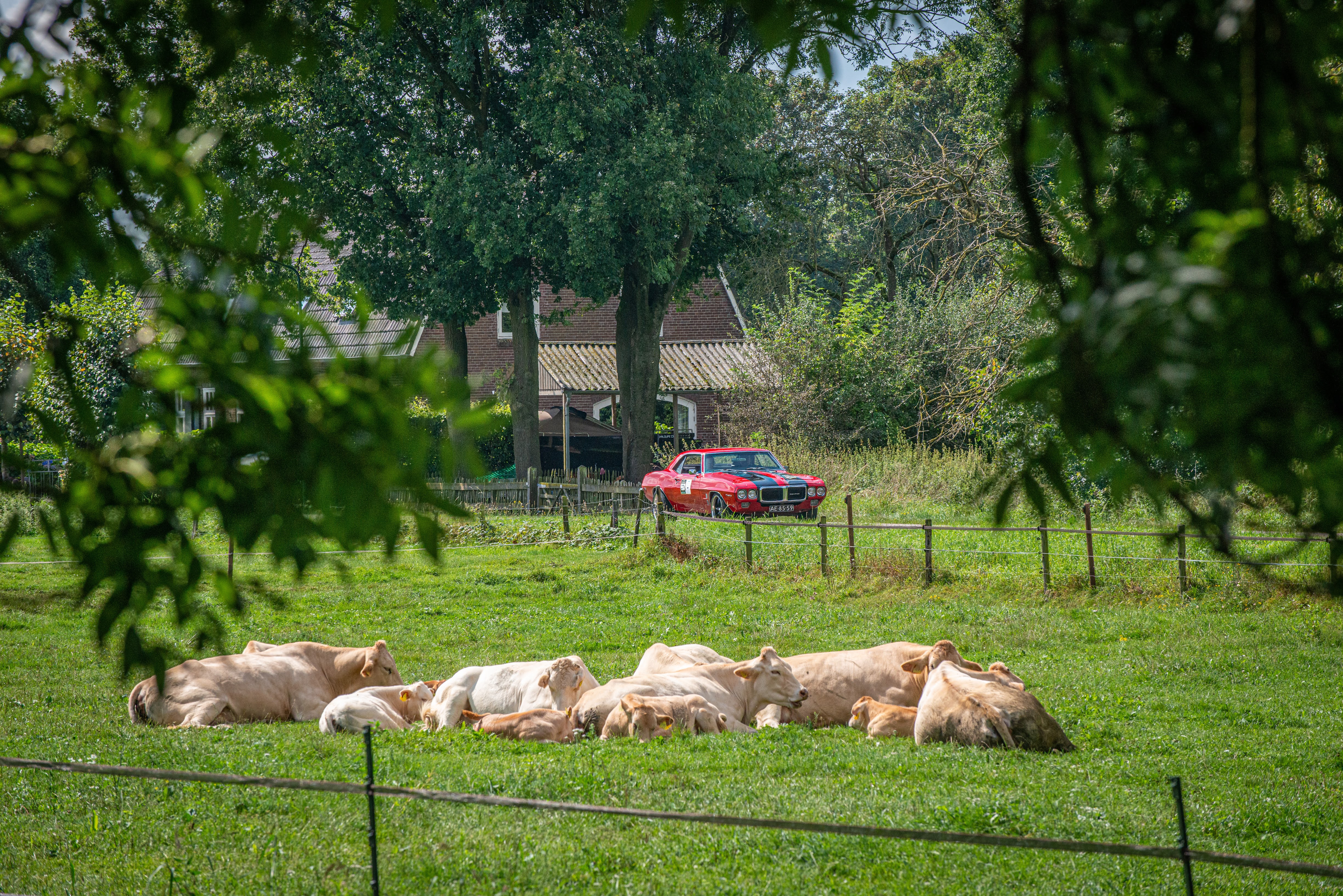 Galerij Augustus 2024