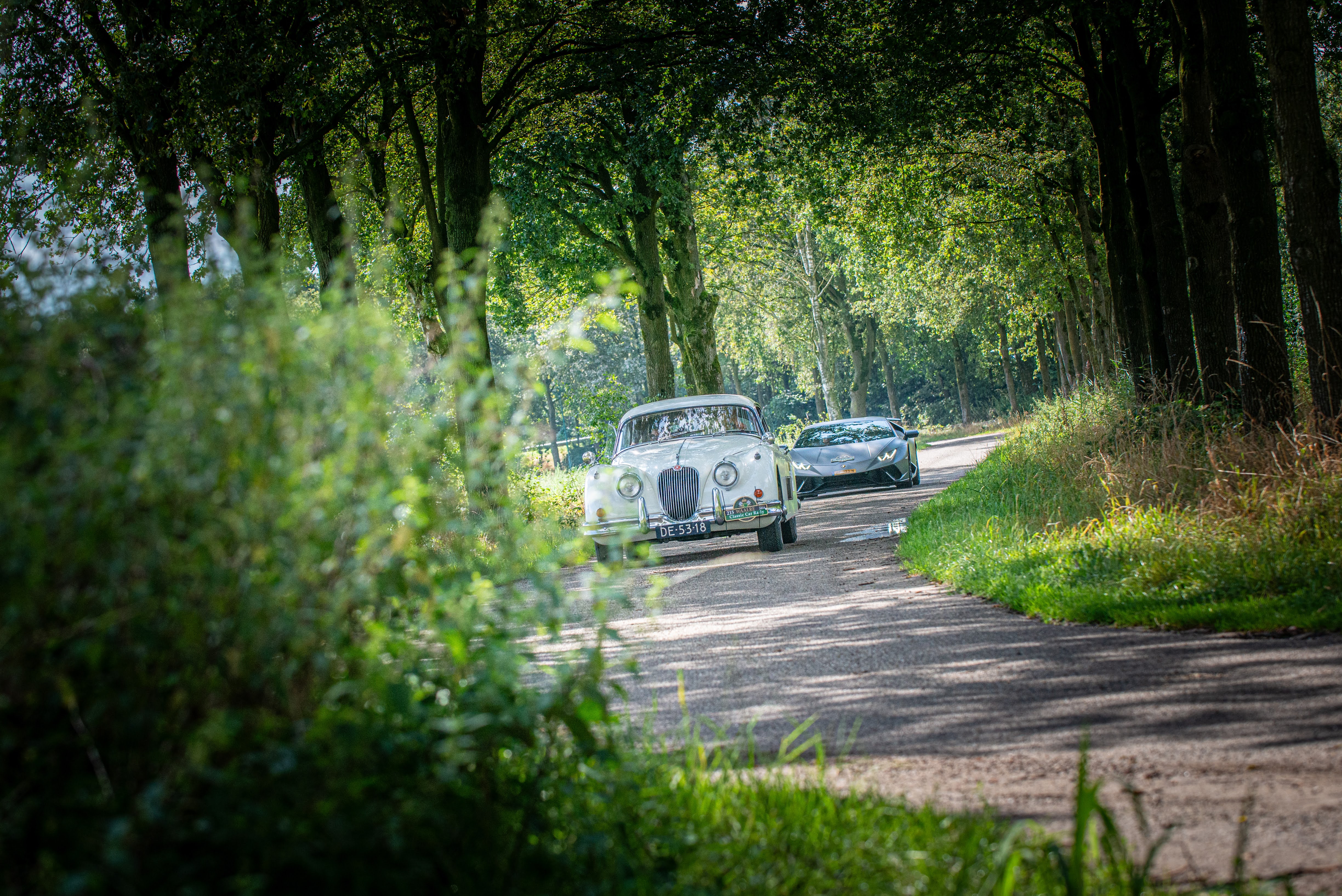 Galerij Augustus 2024