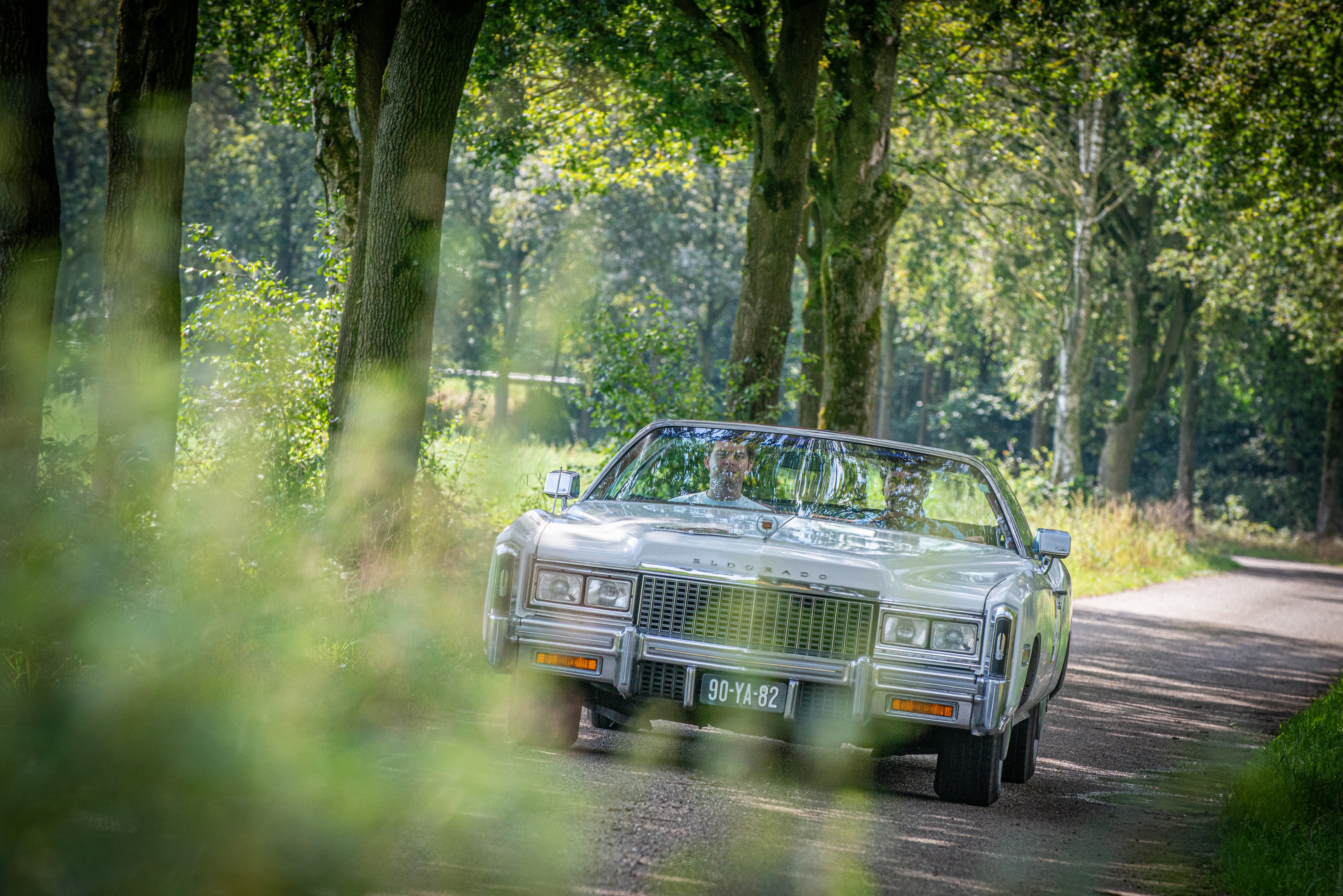 Galerij Augustus 2024