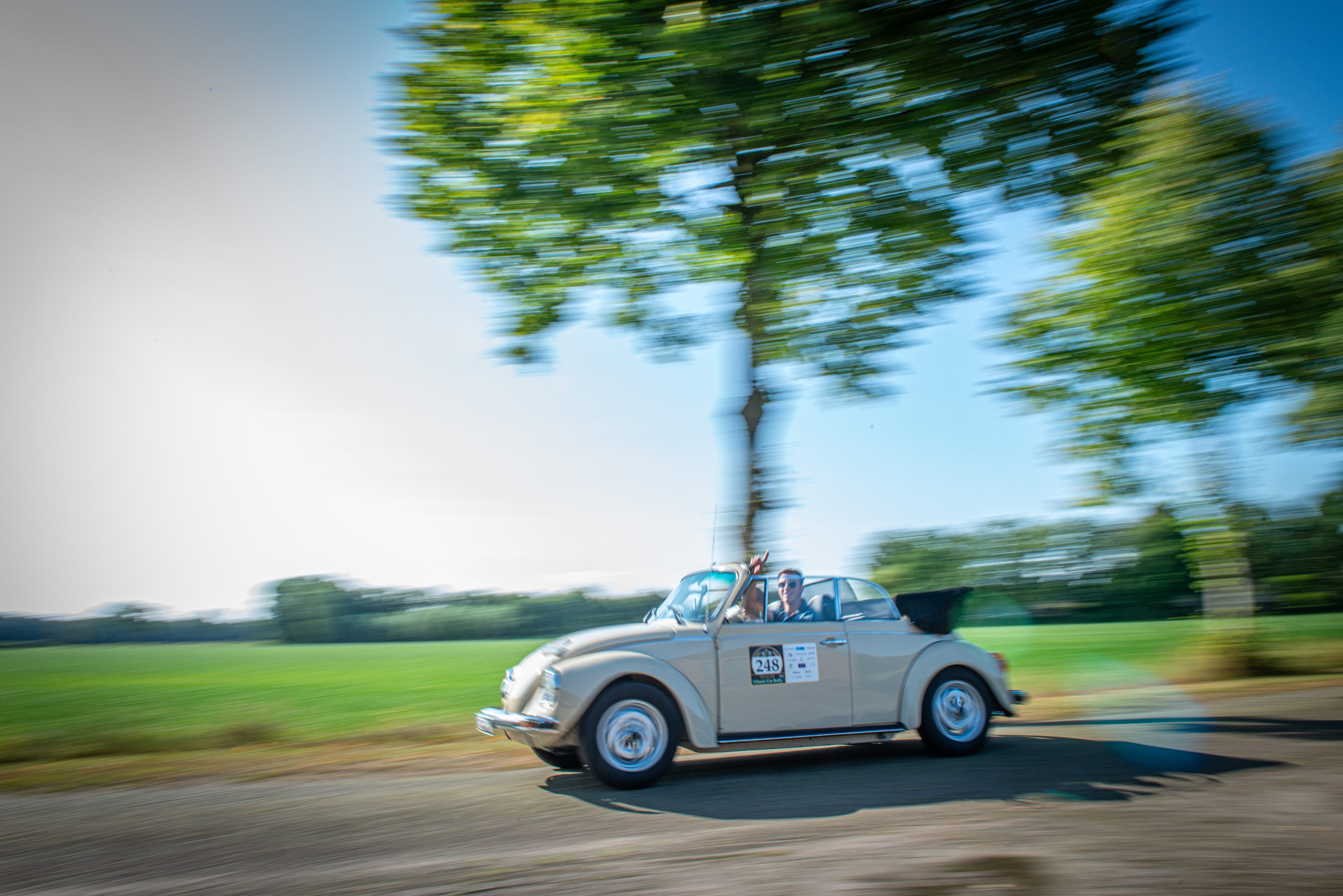 Galerij Augustus 2024