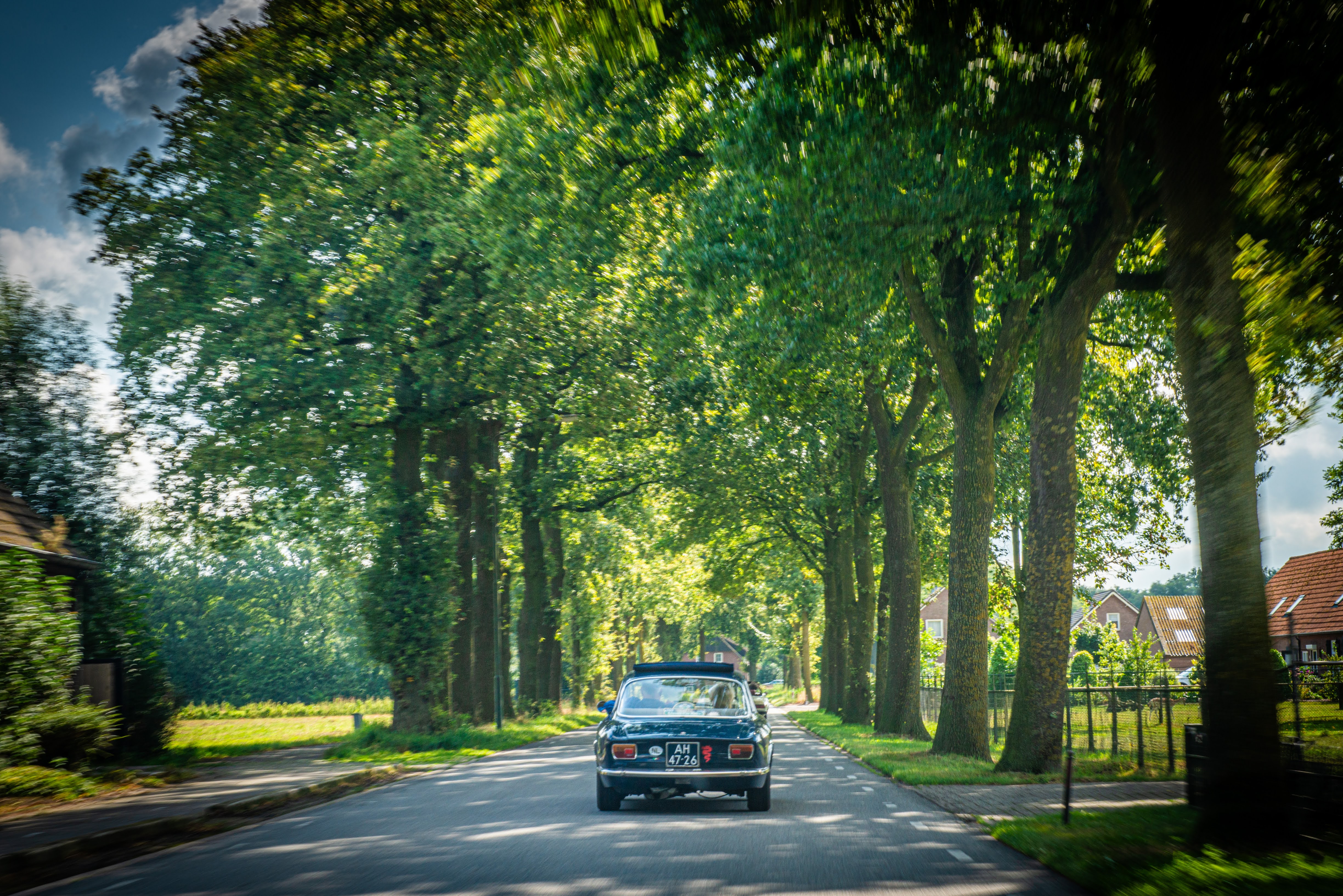 Galerij Augustus 2024