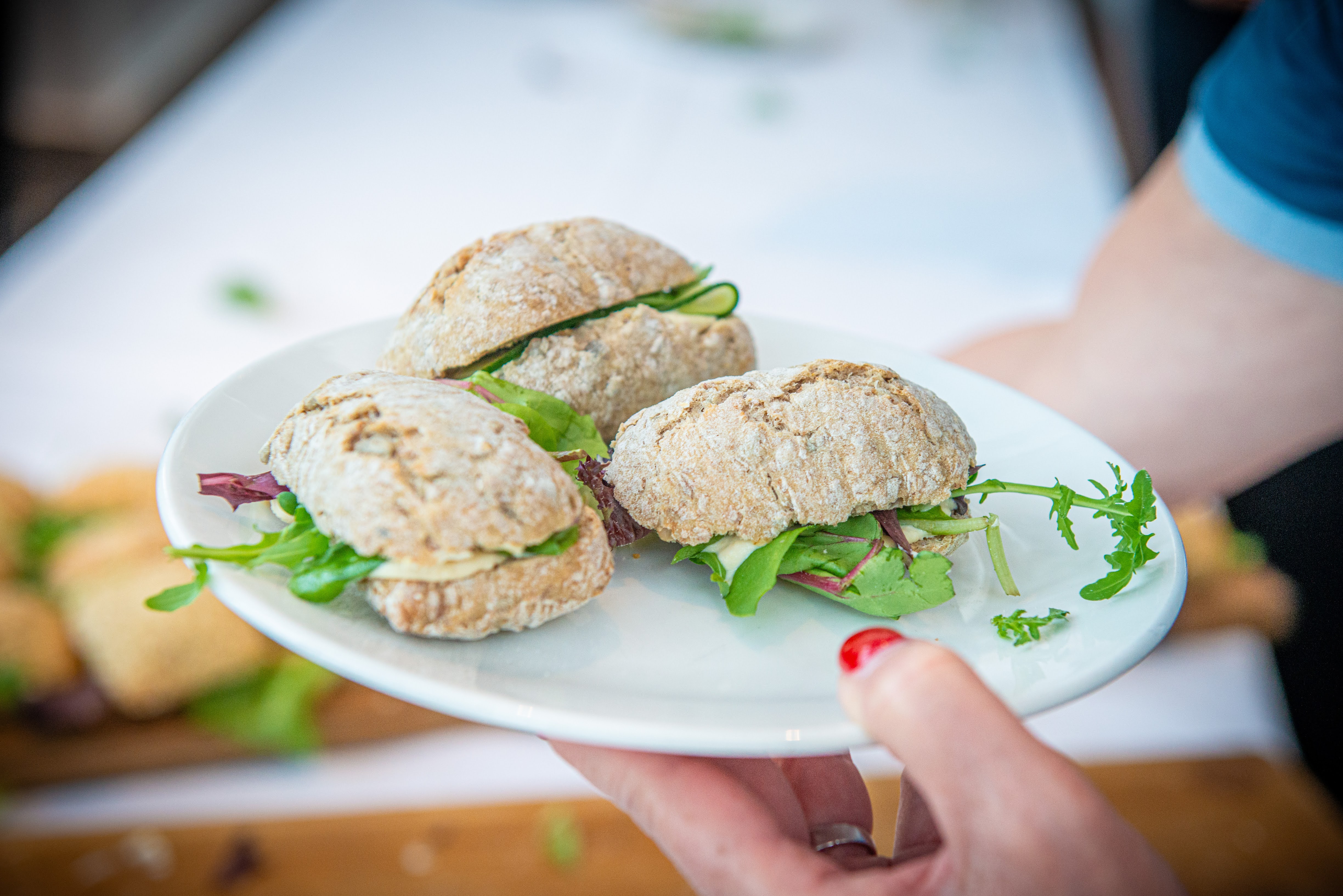 Galerij Augustus 2024