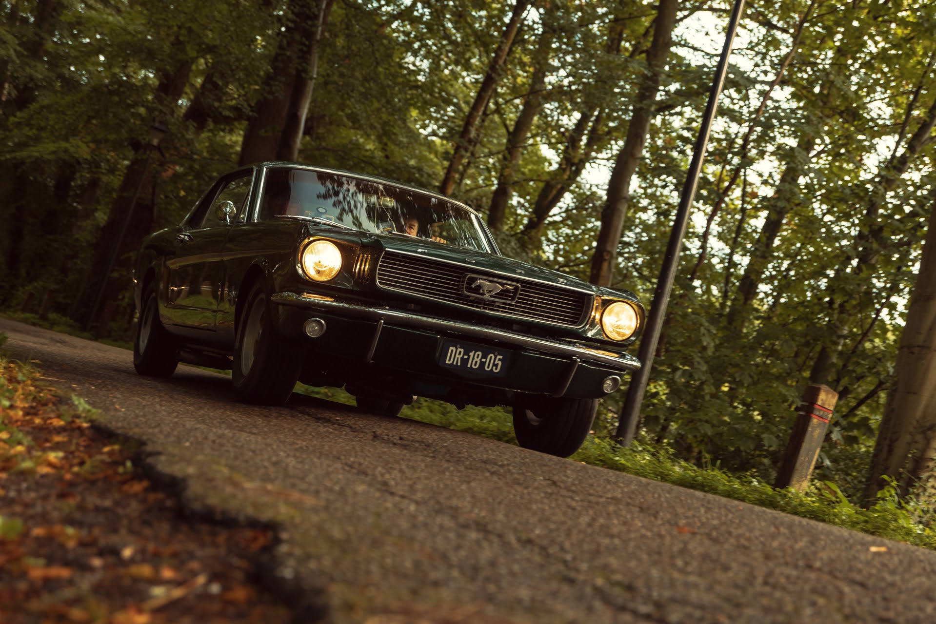 Galerij Augustus 2024