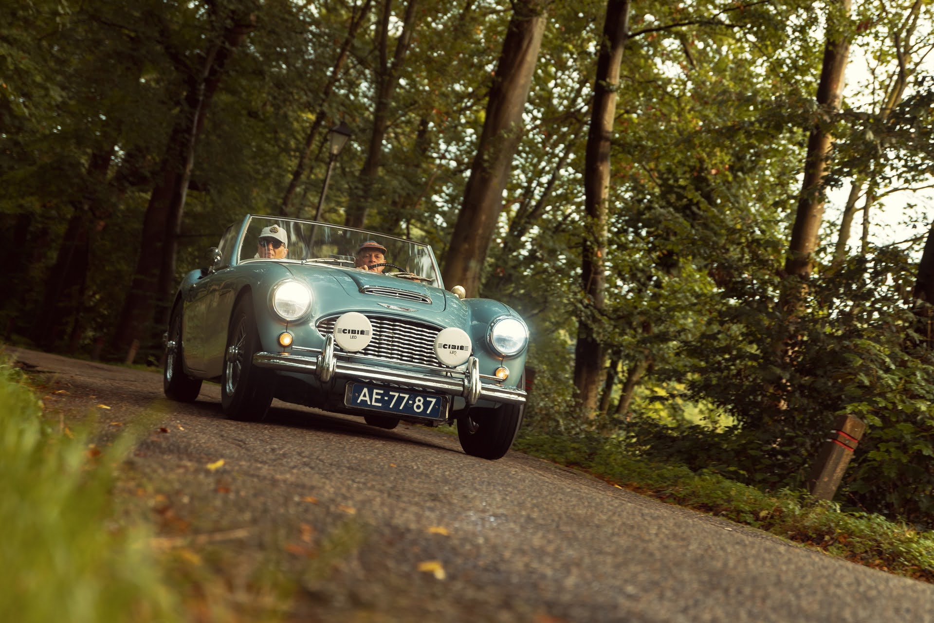 Galerij Augustus 2024