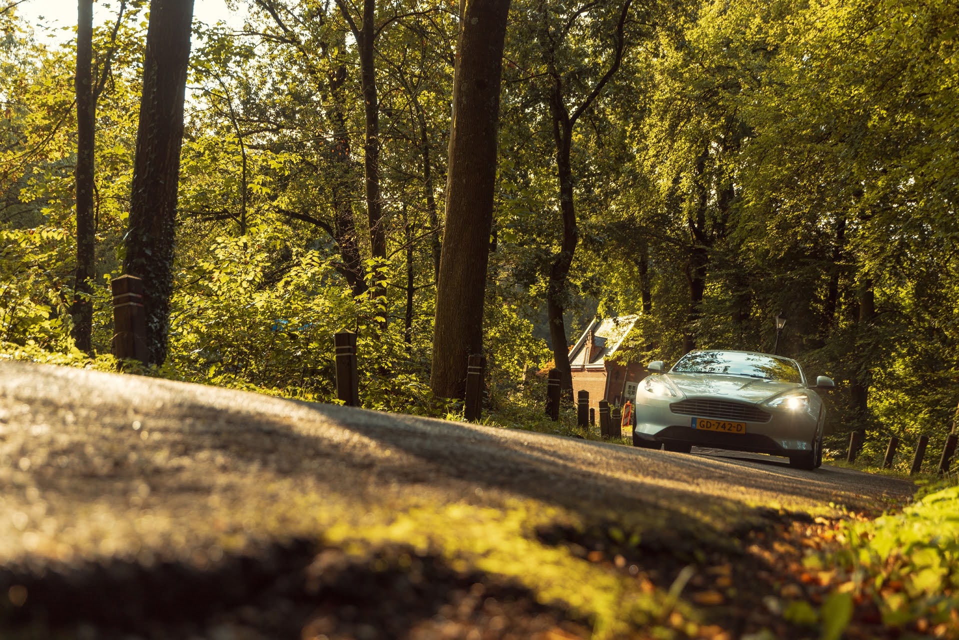 Galerij Augustus 2024