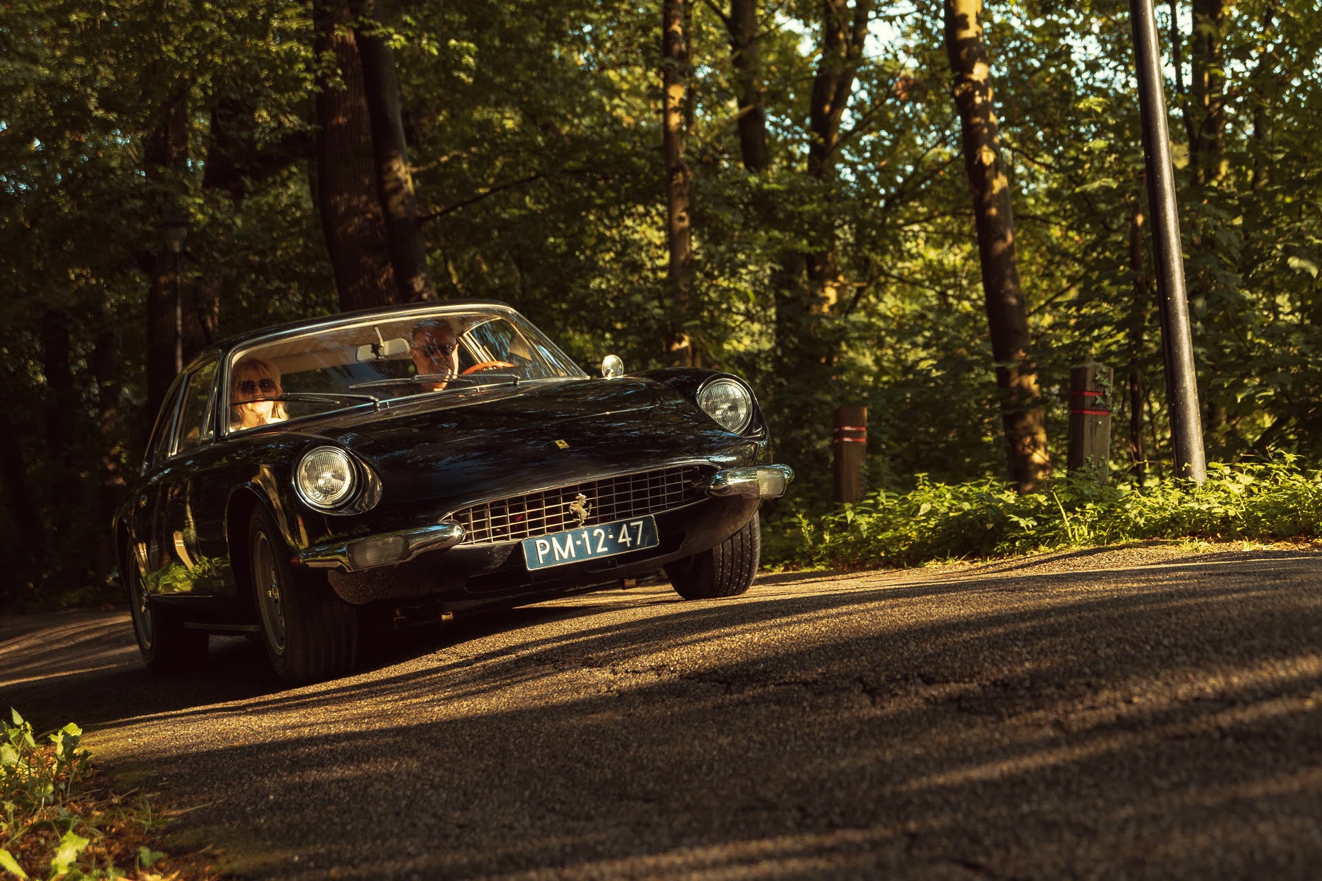 Galerij Augustus 2024