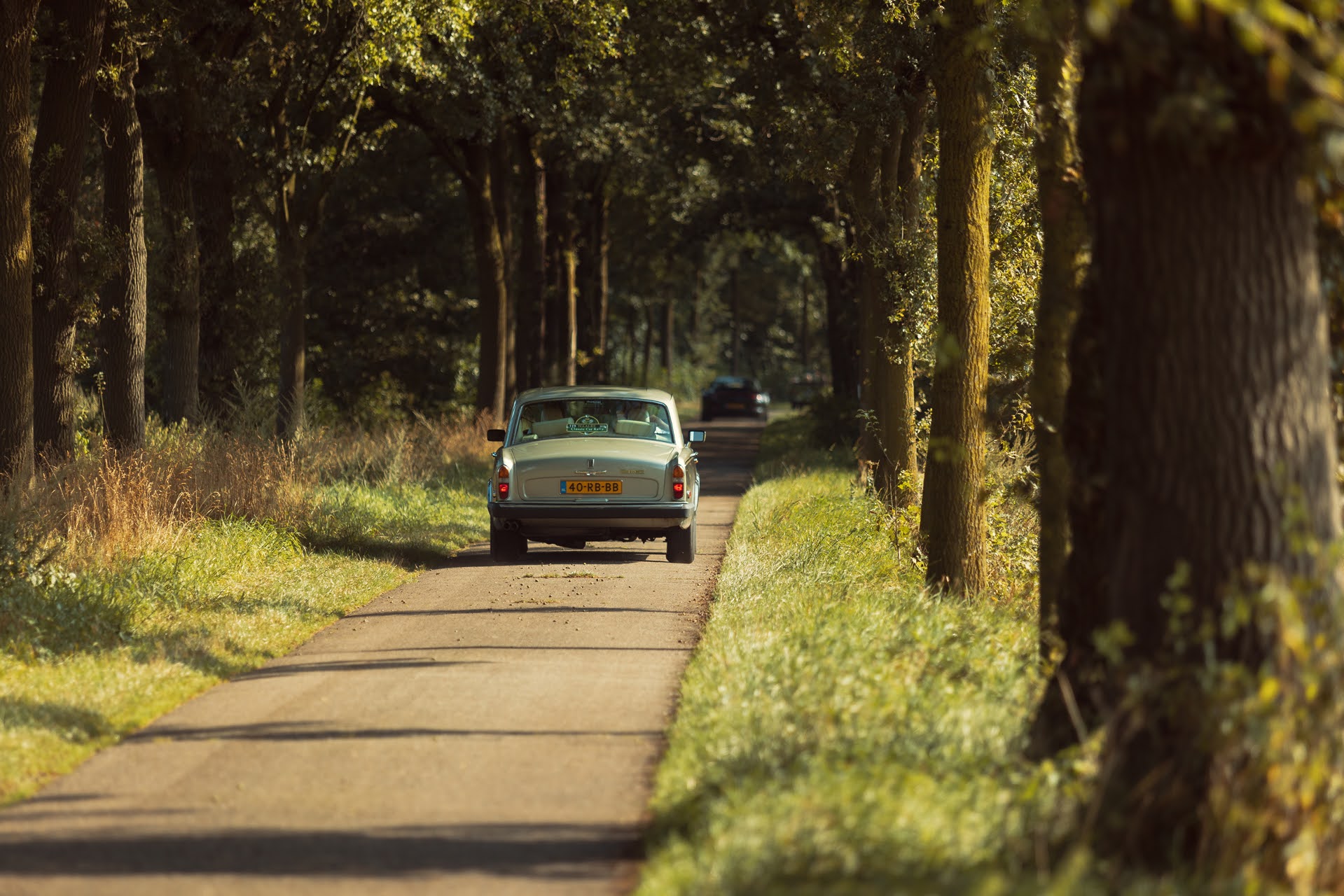 Galerij Augustus 2024