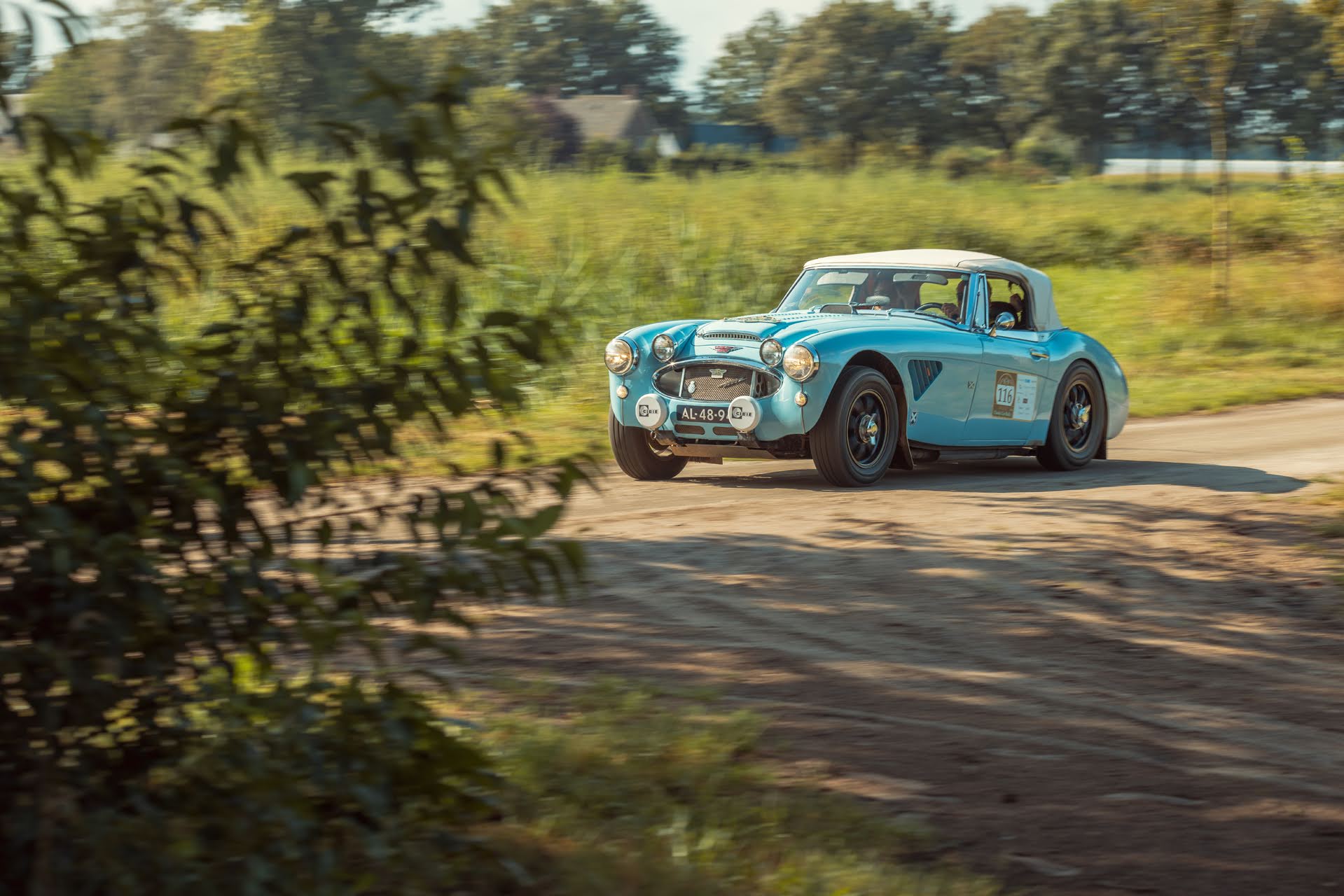 Galerij Augustus 2024