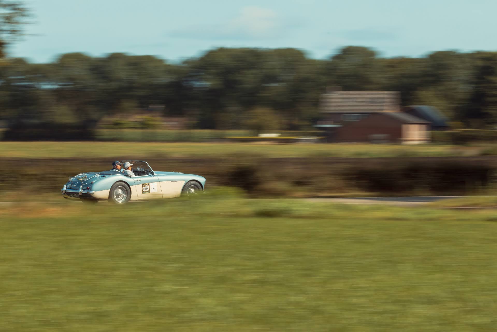 Galerij Augustus 2024