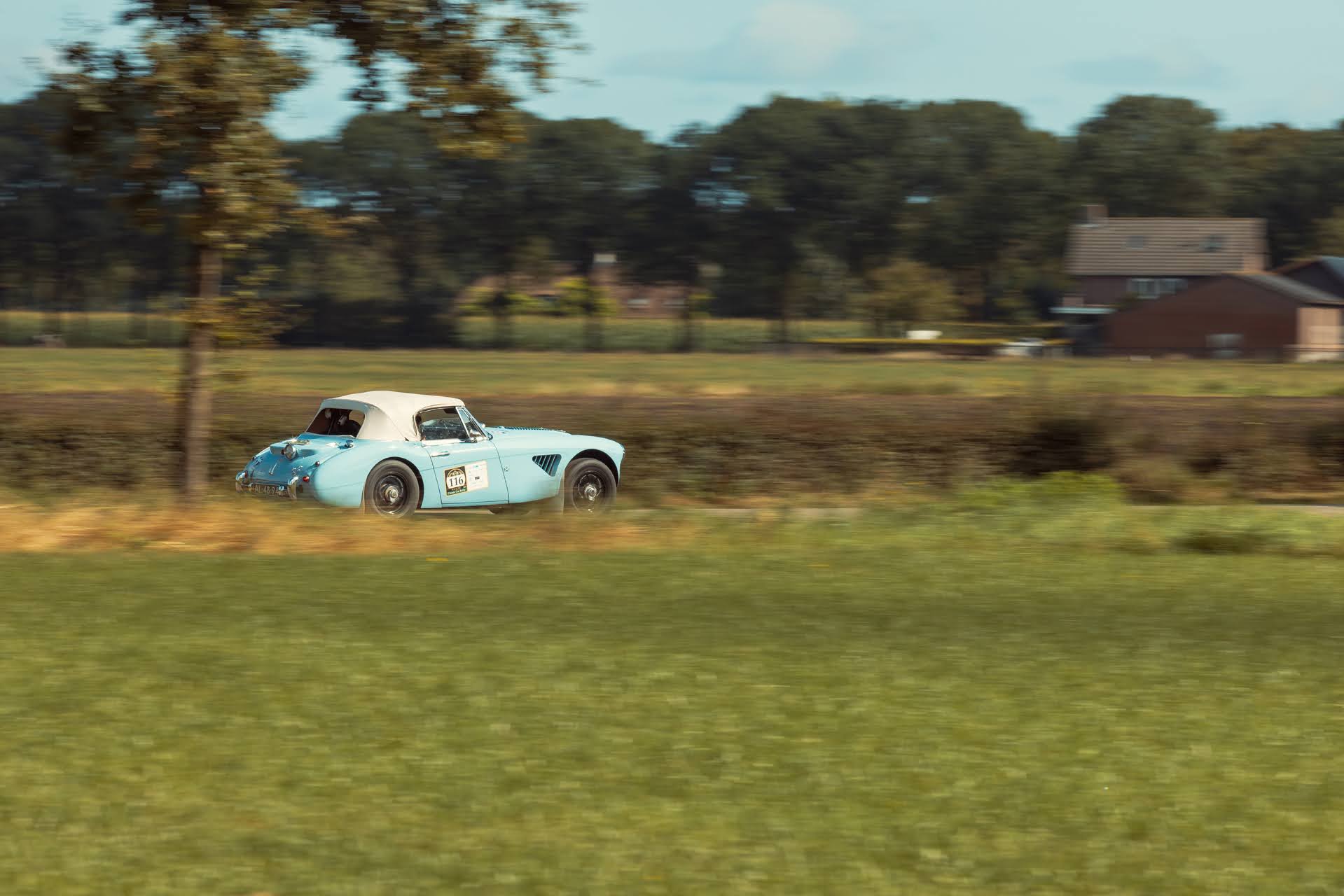 Galerij Augustus 2024