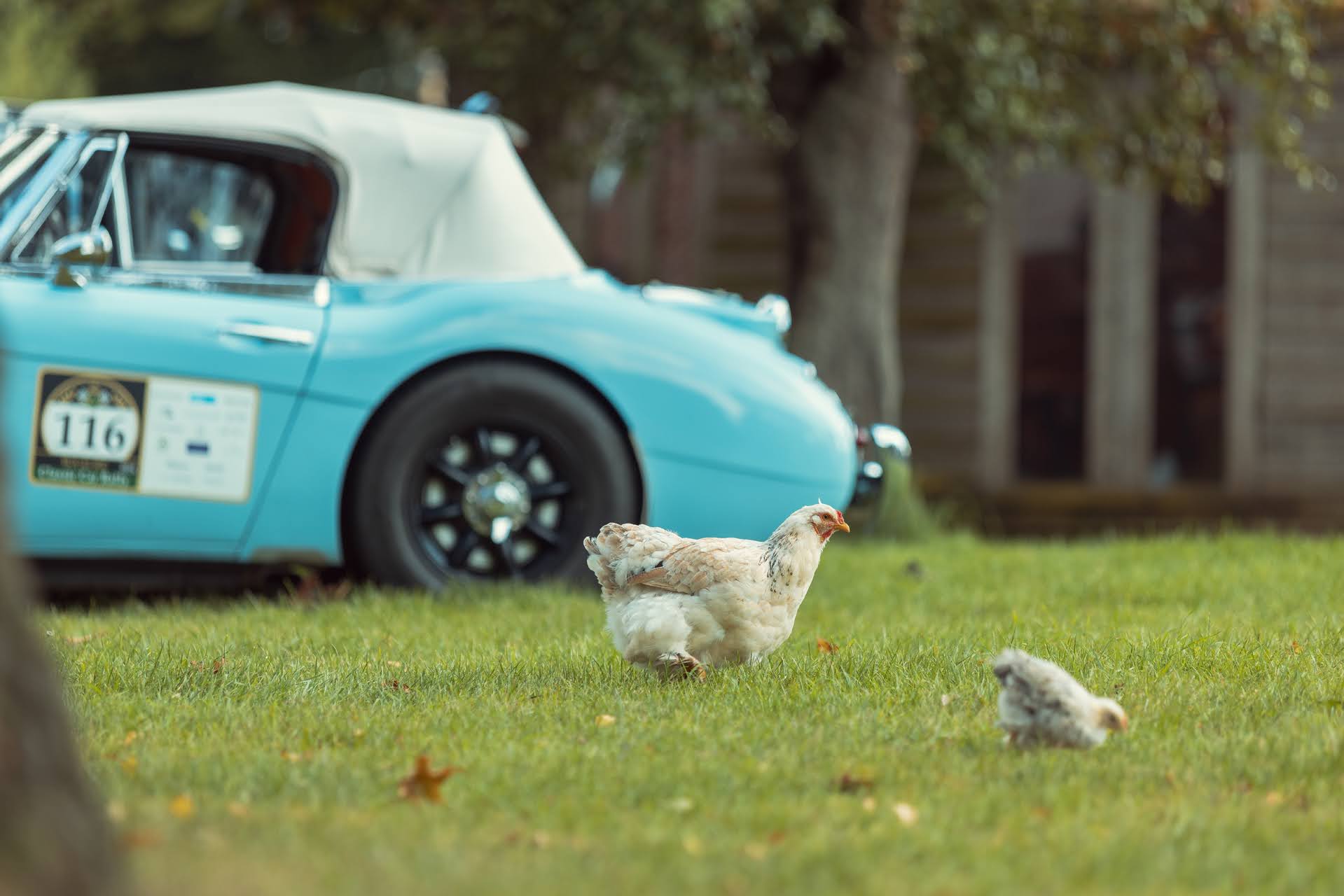 Galerij Augustus 2024