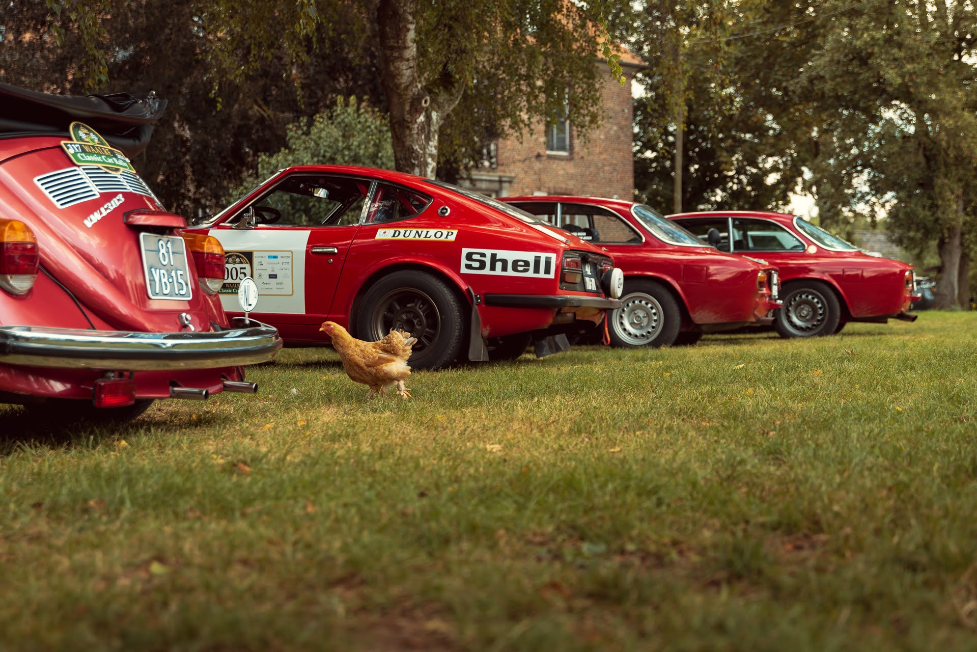 Galerij Augustus 2024