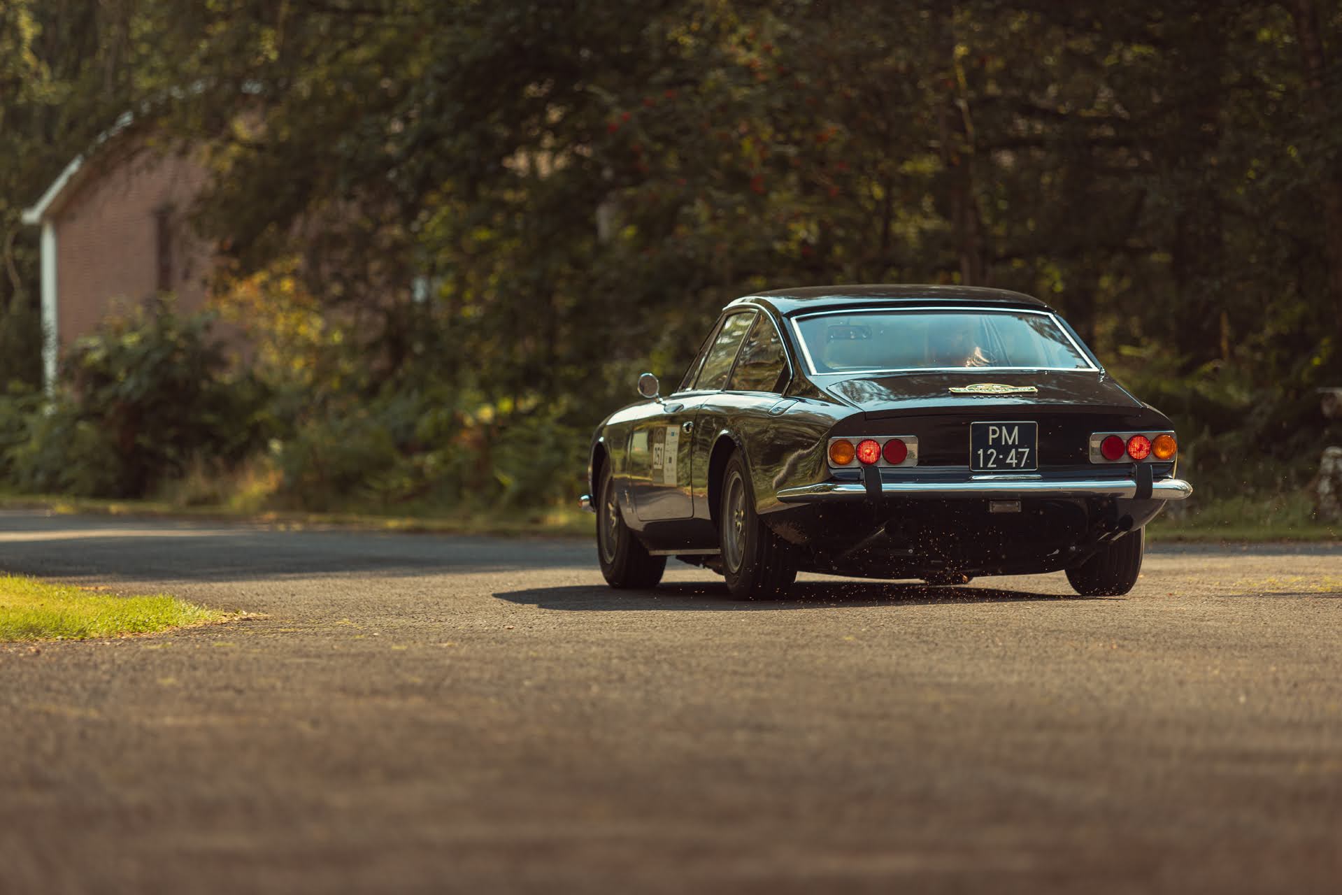 Galerij Augustus 2024