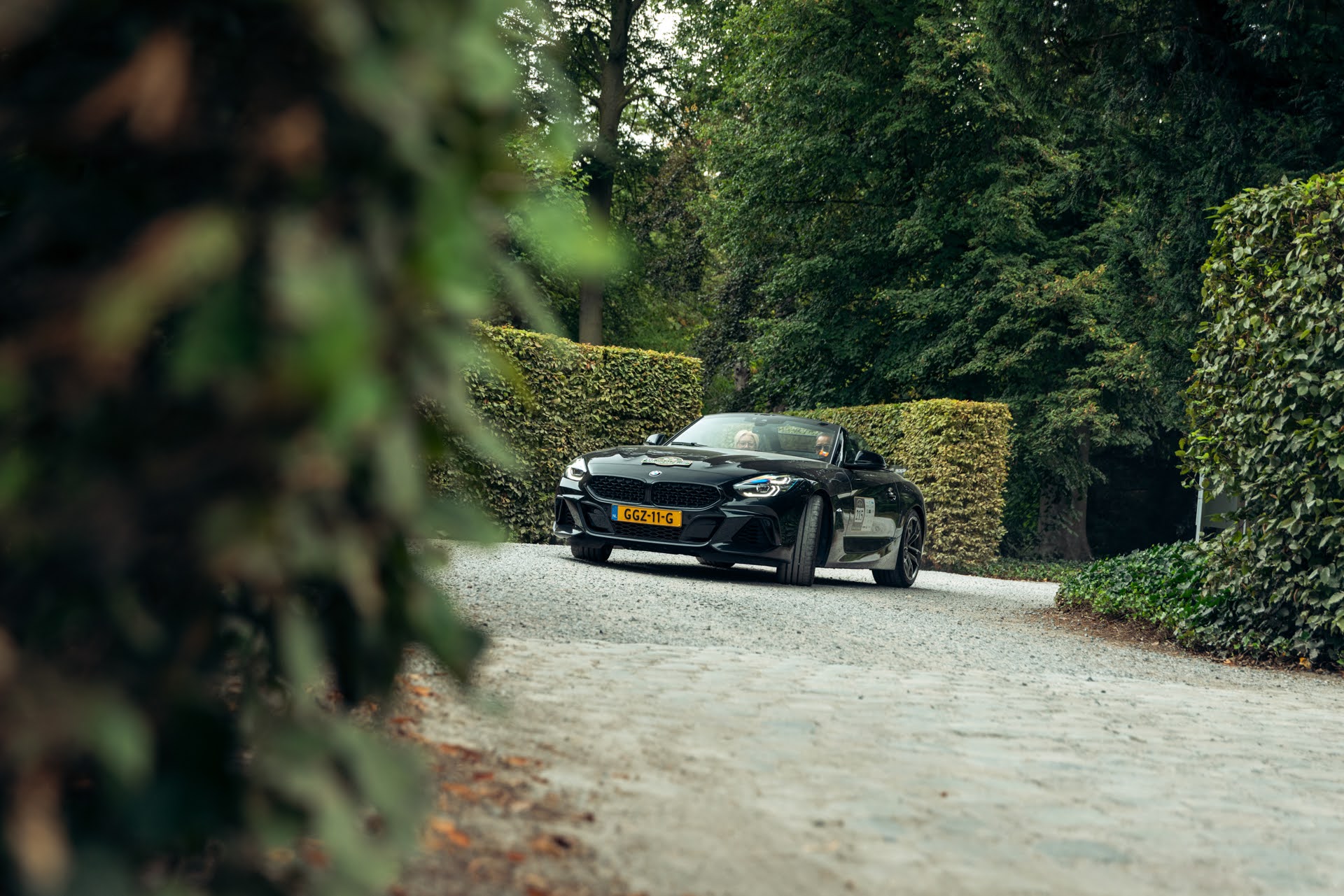 Galerij Augustus 2025