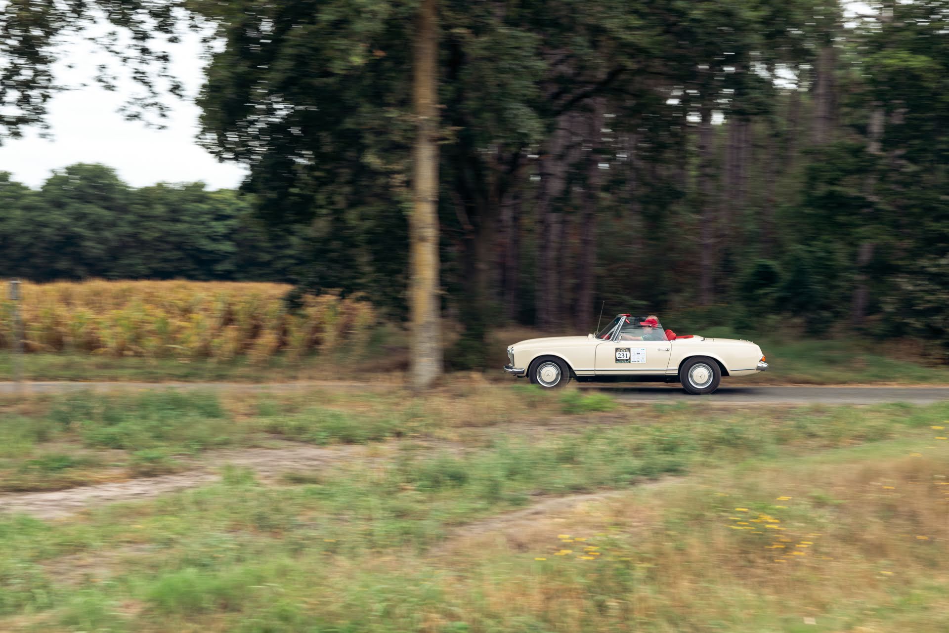 Galerij Augustus 2025