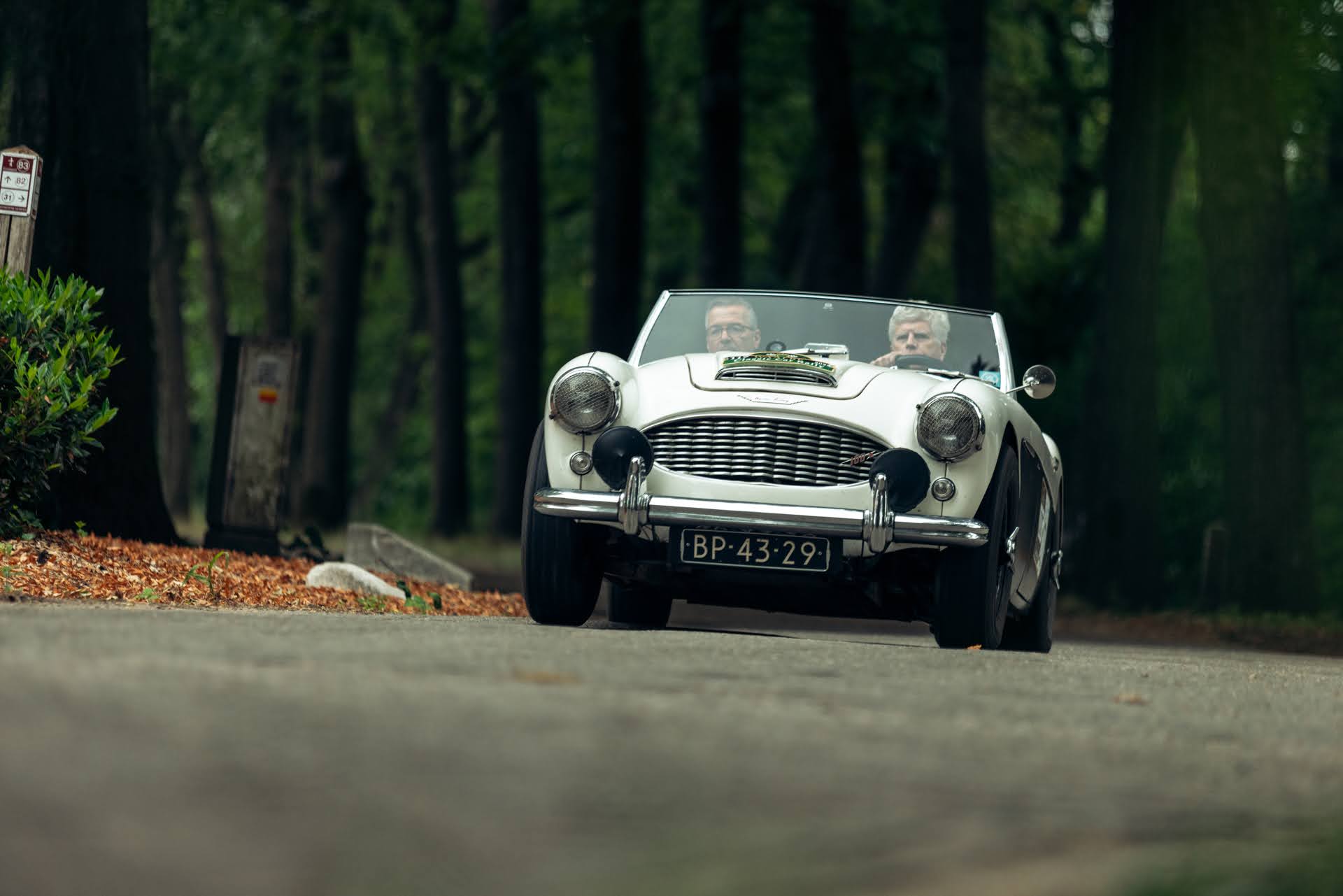 Galerij Augustus 2025