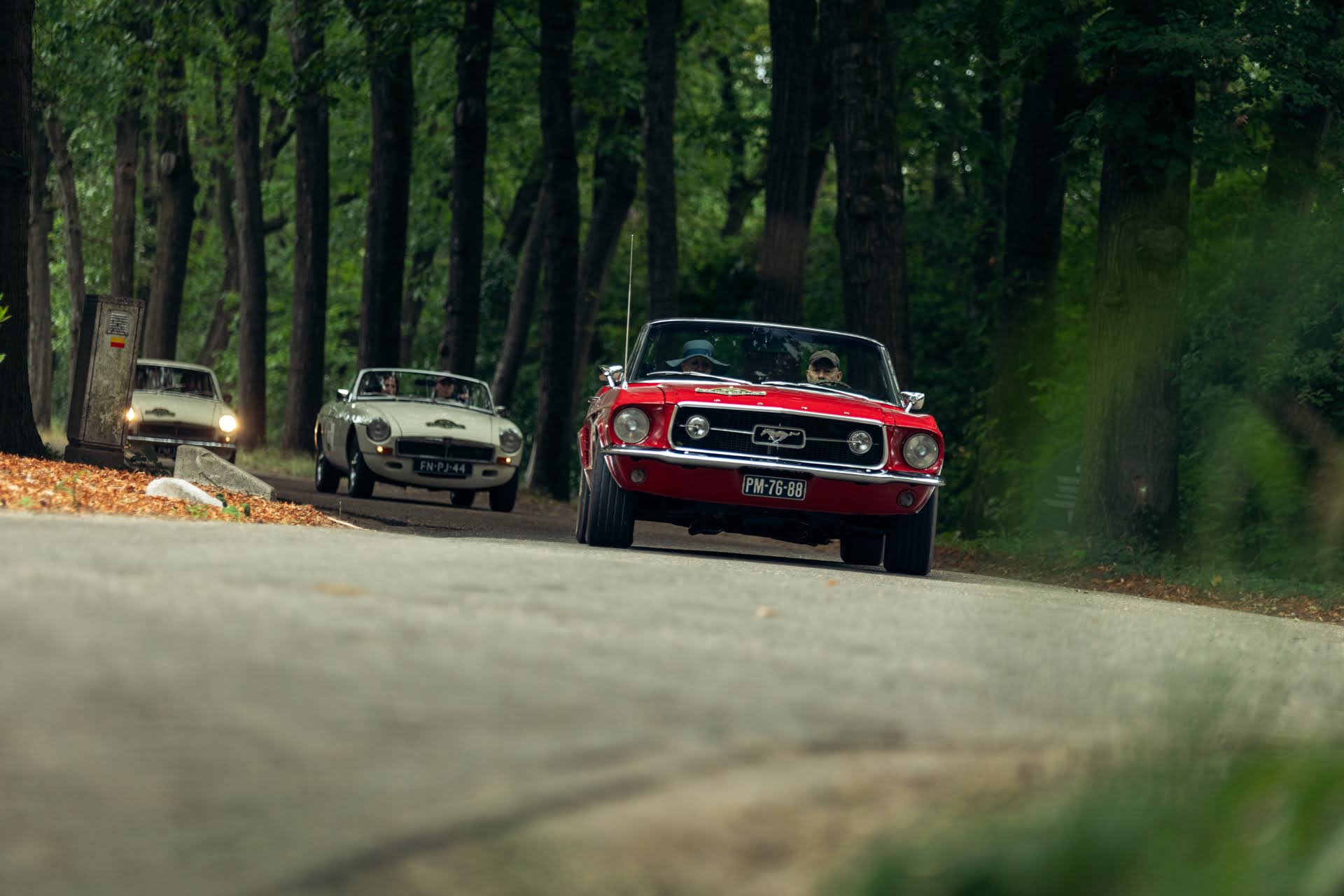 Galerij Augustus 2025