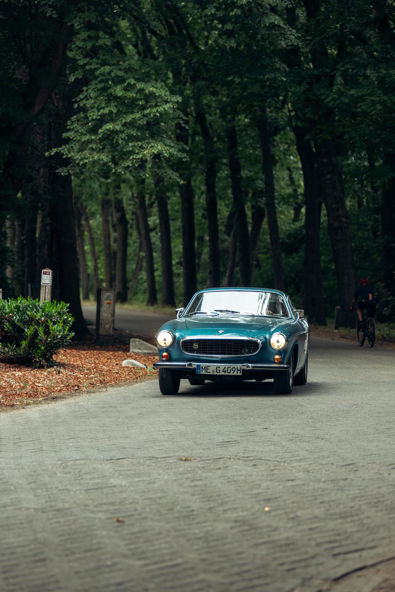 Galerij Augustus 2025