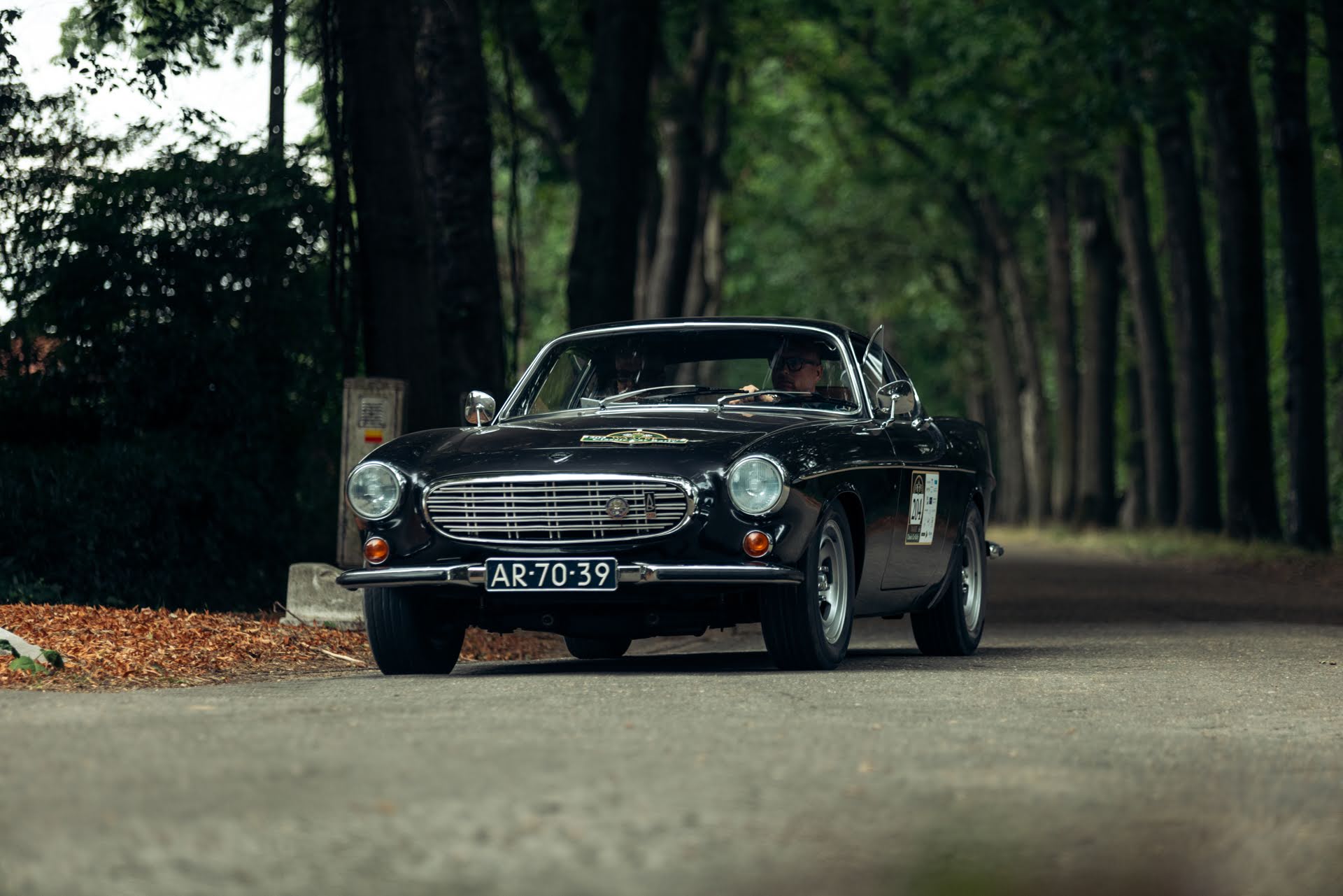 Galerij Augustus 2025