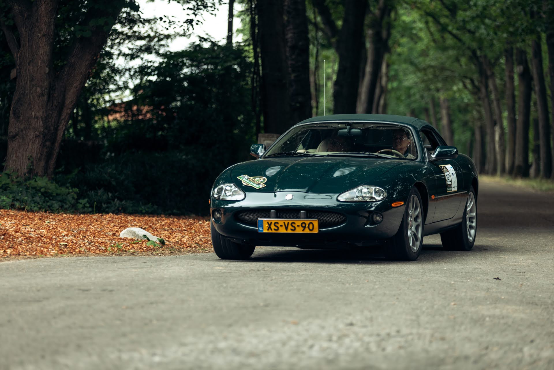 Galerij Augustus 2025